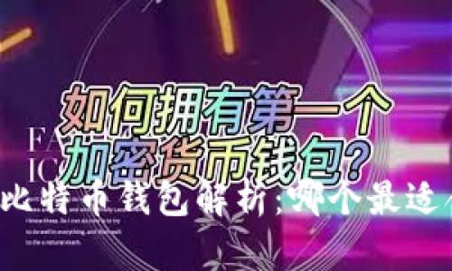 三大比特币钱包解析：哪个最适合你？