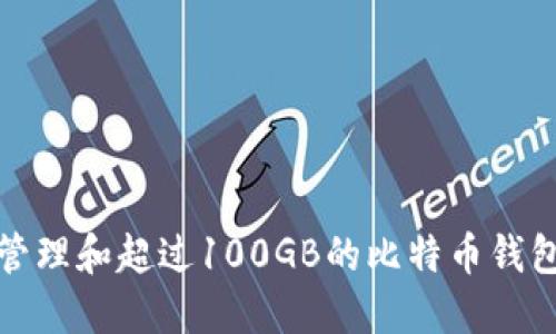 如何管理和超过100GB的比特币钱包数据