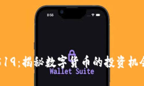 虚拟币519：揭秘数字货币的投资机会与风险