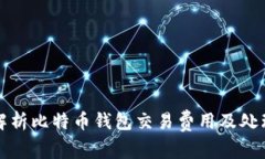 全面解析比特币钱包交易