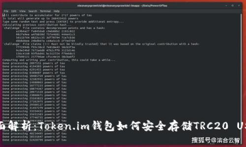 全面解析：Token.im钱包如何安全存储TRC20 USDT