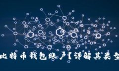 什么是比特币钱包账户？