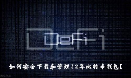 如何安全下载和管理12年比特币钱包？