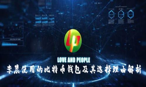 李晨使用的比特币钱包及其选择理由解析