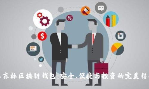 王东林区块链钱包：安全、便捷与投资的完美结合