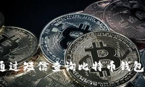 如何通过短信查询比特币钱包余额？