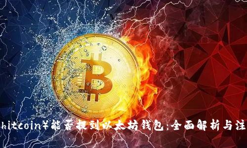 屎币（Shitcoin）能否提到以太坊钱包：全面解析与注意事项