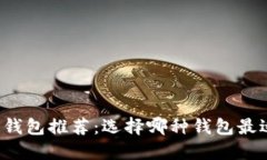 比特币钱包推荐：选择哪