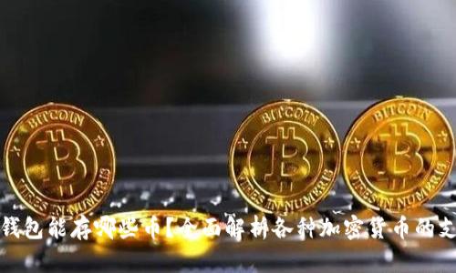 比特币钱包能存哪些币？全面解析各种加密货币的支持情况