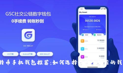 比特币手机钱包推荐：如何选择最安全好用的钱包？