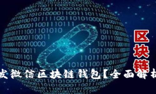 如何高效开发微信区块链钱包？全面解析与实用技巧