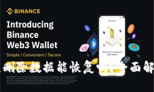 区块链钱包误删除数据能恢复吗？全面解析与实用指南