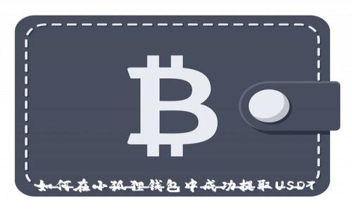 如何在小狐狸钱包中成功提取USDT