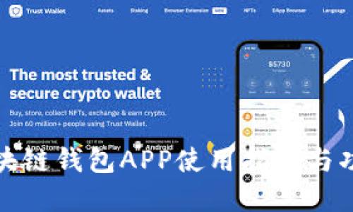 迅雷区块链钱包APP使用指南与功能详解
