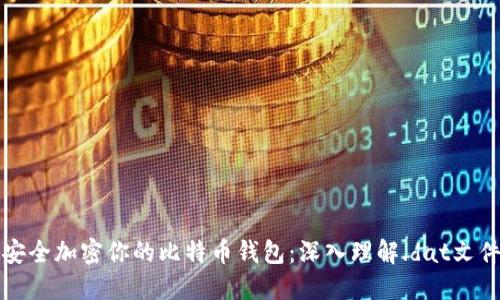 如何安全加密你的比特币钱包：深入理解.dat文件加密