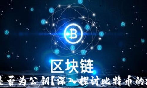 
比特币钱包ID是否为公钥？深入探讨比特币的地址与密钥体系
