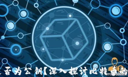 
比特币钱包ID是否为公钥？深入探讨比特币的地址与密钥体系