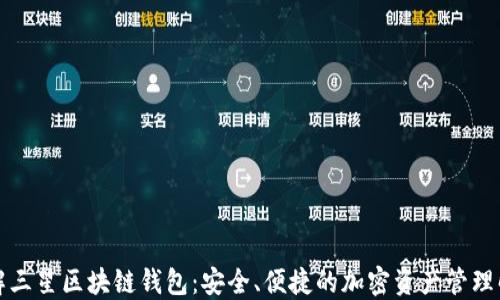 
深入了解三星区块链钱包：安全、便捷的加密资产管理解决方案