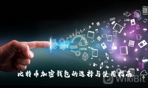 比特币加密钱包的选择与使用指南