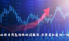 比特币钱包到账时间解析