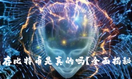 小狐狸钱包存比特币是真的吗？全面揭秘与用户指南