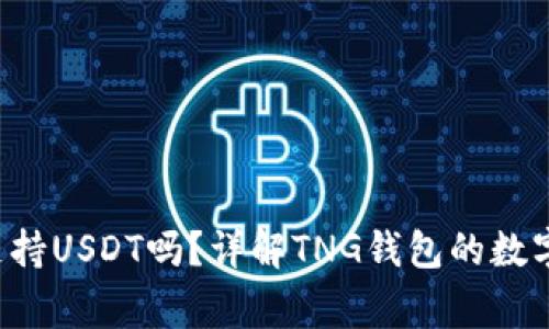 tng钱包支持USDT吗？详解TNG钱包的数字货币功能