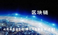 比特币存储选择：哪个钱