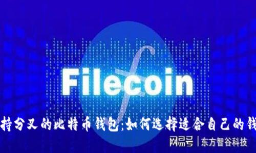 支持分叉的比特币钱包：如何选择适合自己的钱包