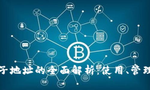 比特币钱包子地址的全面解析：使用、管理与安全策略