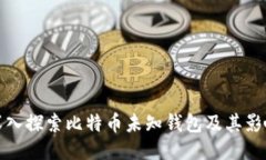 深入探索比特币未知钱包及其影响