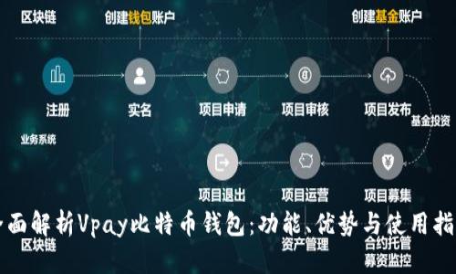 全面解析Vpay比特币钱包：功能、优势与使用指南