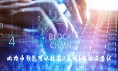 比特币钱包可以放在U盘吗？解析与建议