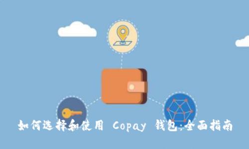 如何选择和使用 Copay 钱包：全面指南