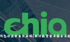 比特币钱包被盗能查出来吗？探讨数字货币安全