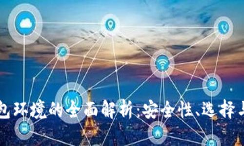 比特币钱包环境的全面解析：安全性、选择与使用指南