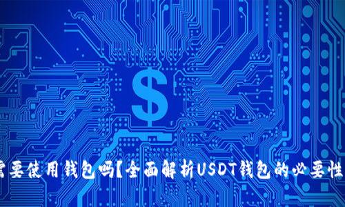 USDT需要使用钱包吗？全面解析USDT钱包的必要性与选择