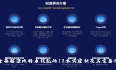 全面解读比特币钱包的12单词密钥及其重要性