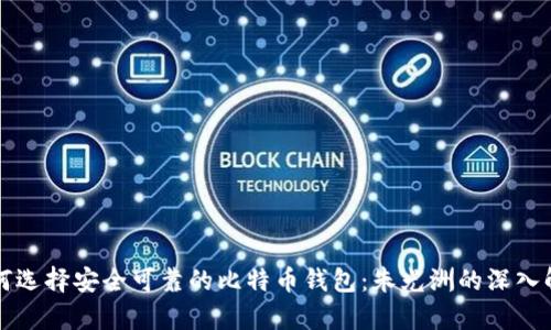 如何选择安全可靠的比特币钱包：朱光洲的深入解析