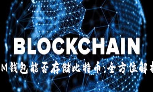 IM钱包能否存储比特币：全方位解析