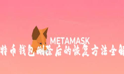 比特币钱包删除后的恢复方法全解析