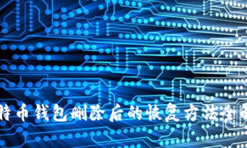 比特币钱包删除后的恢复方法全解析