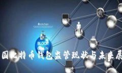美国比特币钱包监管现状与未来展望