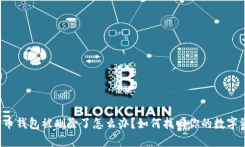 比特币钱包被删除了怎么办？如何找回你的数字资产？