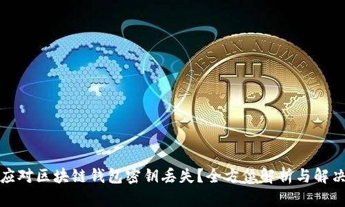 如何应对区块链钱包密钥丢失？全方位解析与解决方案