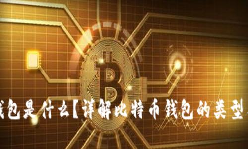 比特币钱包是什么？详解比特币钱包的类型与安全性