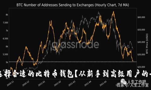 如何选择合适的比特币钱包？从新手到高级用户的全解析