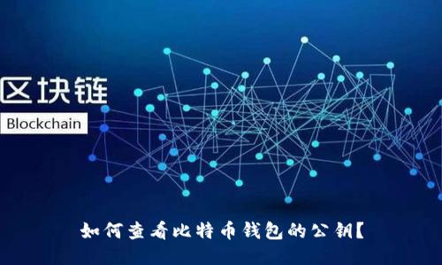 如何查看比特币钱包的公钥？