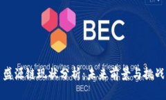 盛源链现状分析：未来前景与挑战