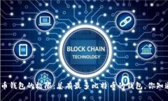 探索比特币钱包的极限：总有最多比特币的钱包