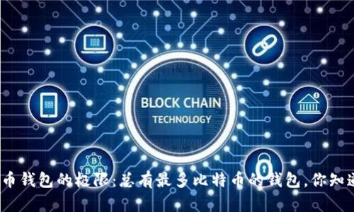 探索比特币钱包的极限：总有最多比特币的钱包，你知道是谁吗？